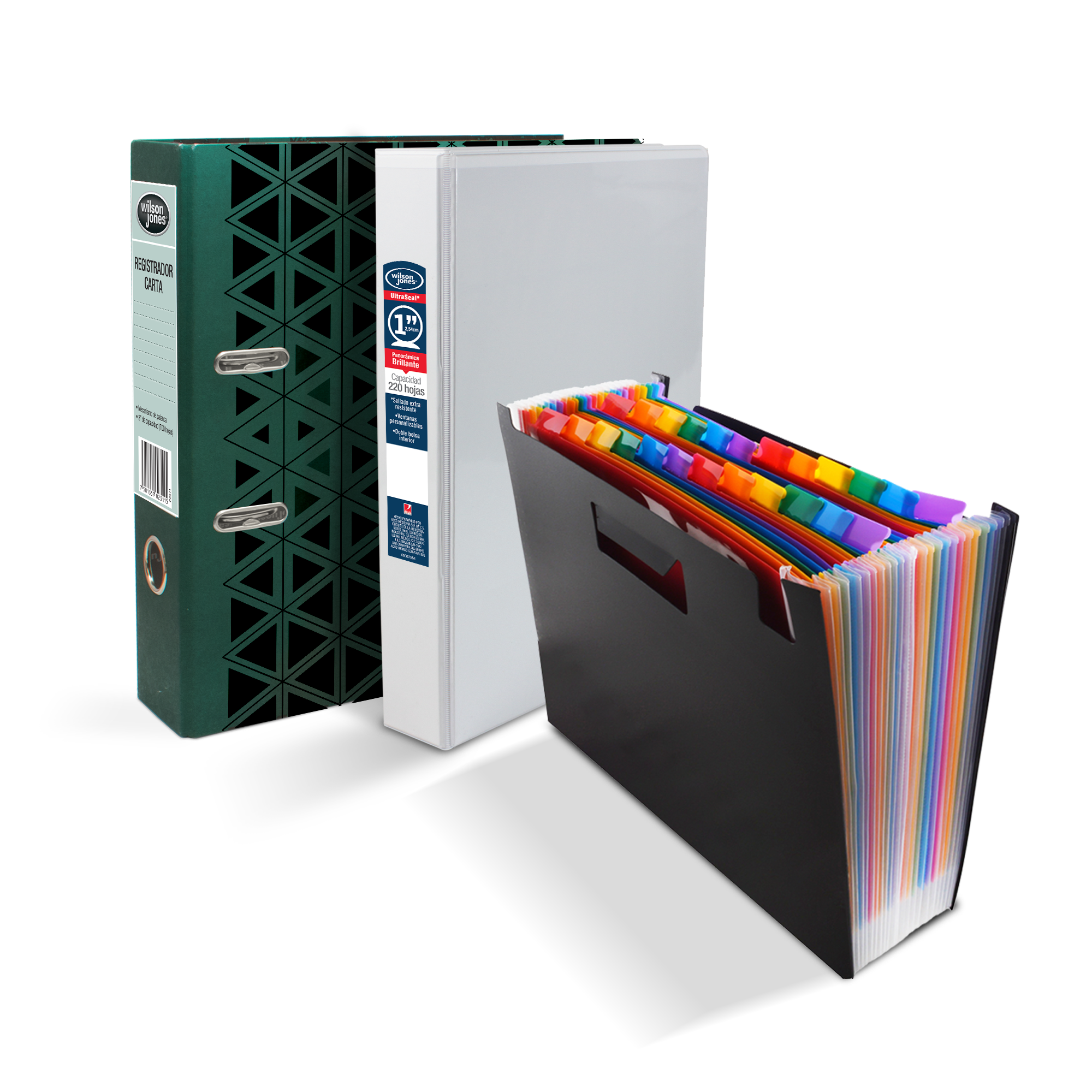 Archivo y Organizaci��n